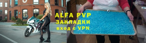 стаф Осташков