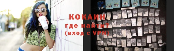 стаф Осташков