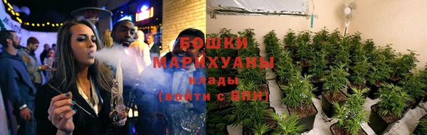 стаф Осташков