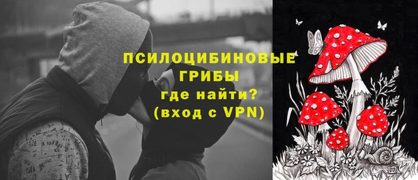 стаф Осташков