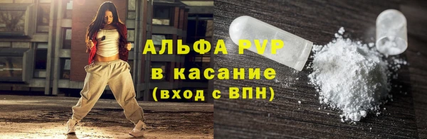 стаф Осташков